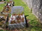 image of grave number 831706